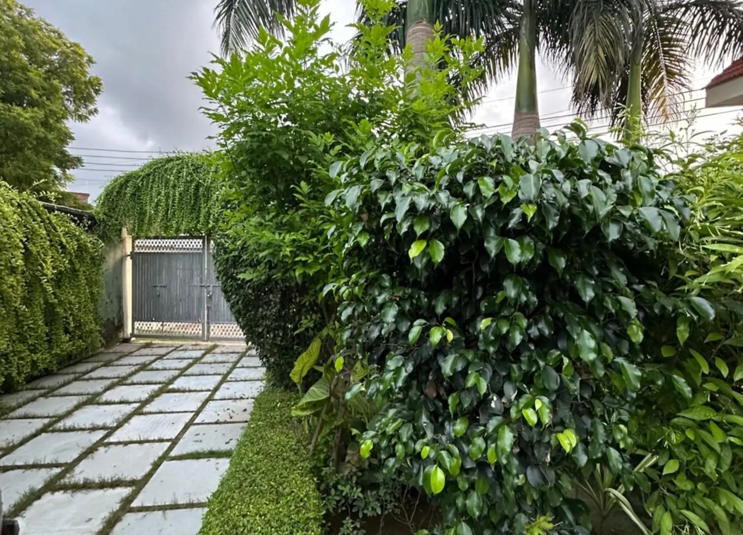 Serene Farmhouse Escape In Agra Agra  0*, Agra (Uttar Pradesh) India